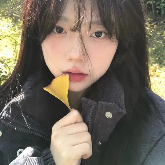 编剧风云